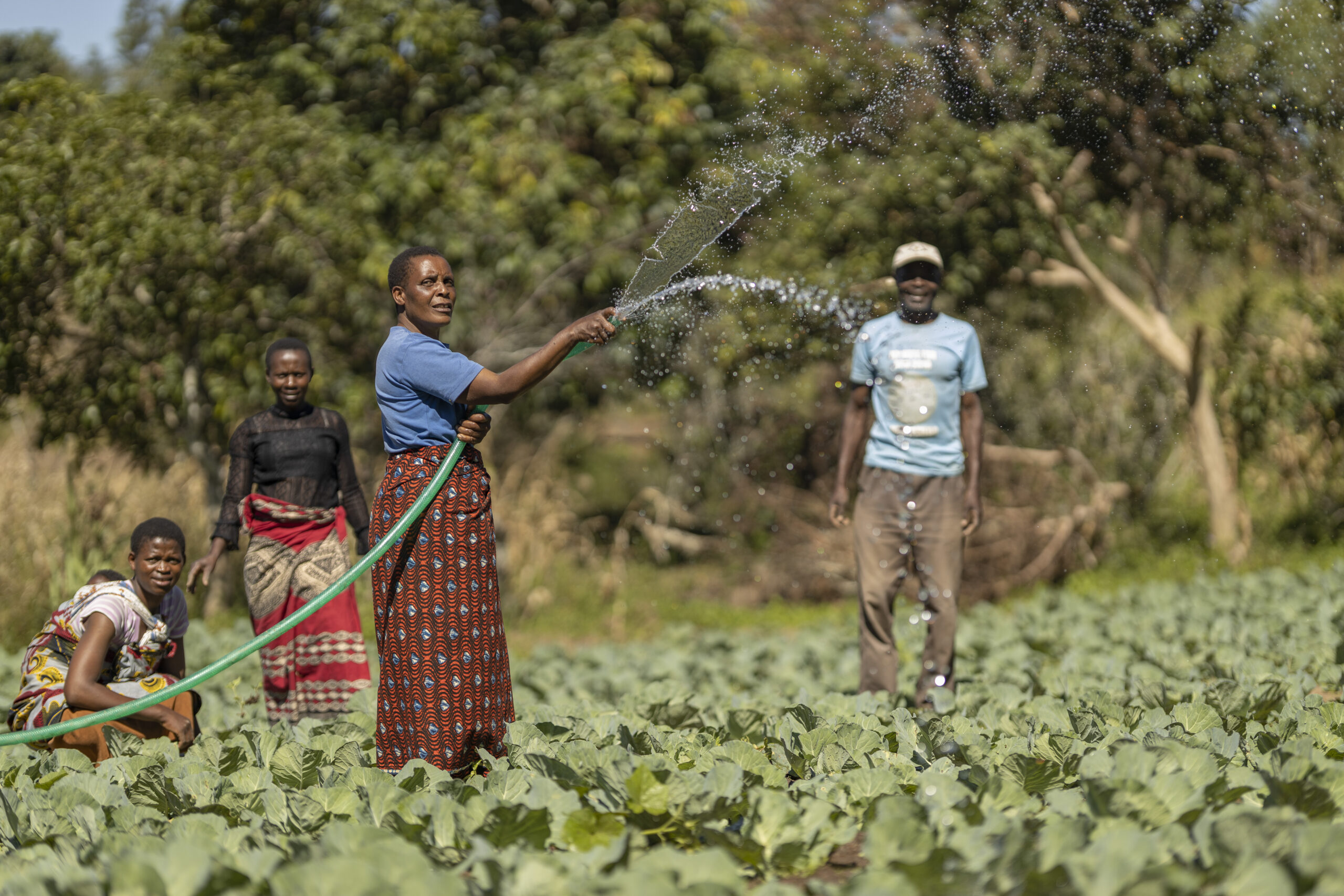 Smart Farming in Malawi: IoT for Agriculture